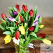Vegyes színű tulipán csokor
