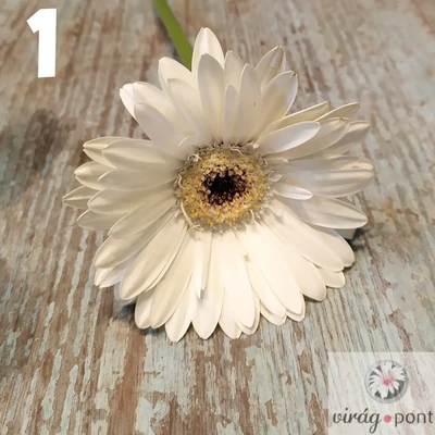Mini gerbera vágott